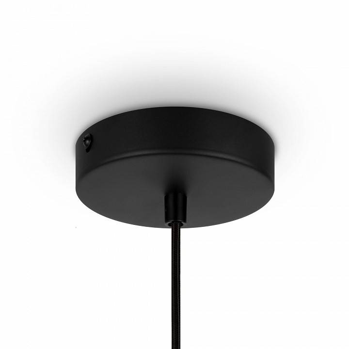 Подвесной светильник Maytoni Roots MOD193PL-01W