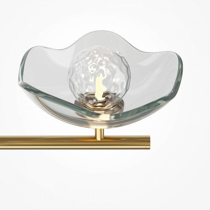 Люстра на штанге Maytoni Miracle MOD207PL-05BS