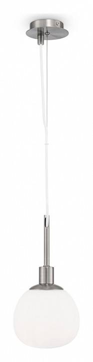 Подвесной светильник Maytoni Erich MOD221-PL-01-N