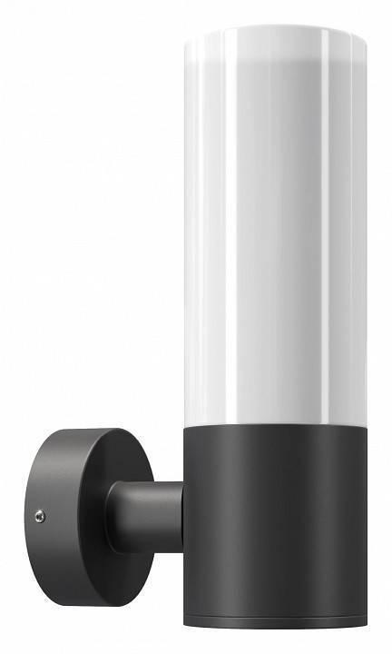 Уличный настенный светильник Maytoni Willis O418WL-01B