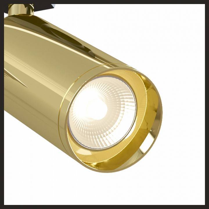 Трековый светильник Maytoni Focus GU10 TR004-1-GU10-G