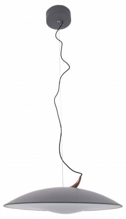 Подвесной светильник Mizi`en Candor MZ46212G