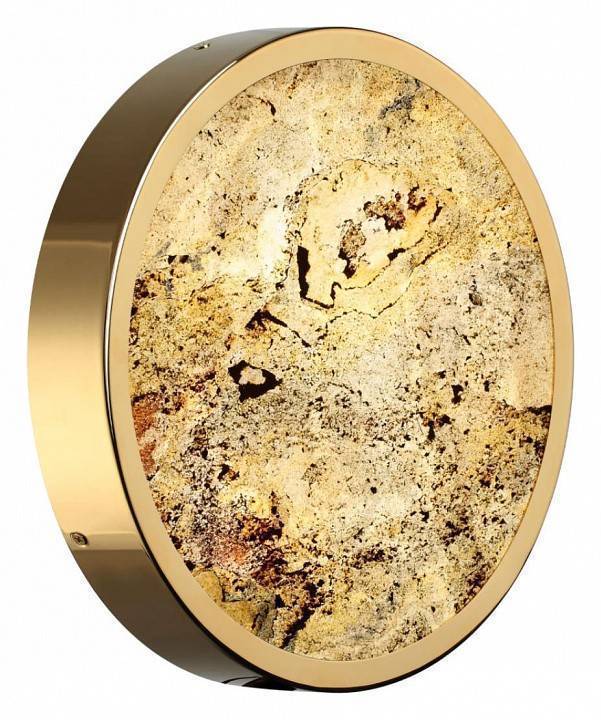 Накладной светильник Odeon Light Bergi 5079/24L