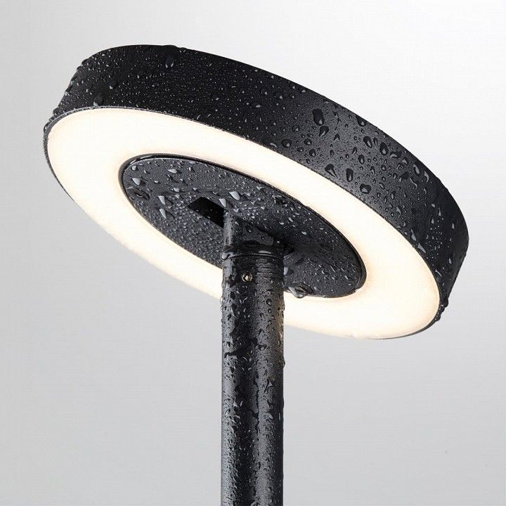 Наземный высокий светильник Odeon Light NATURE 7189/6GL