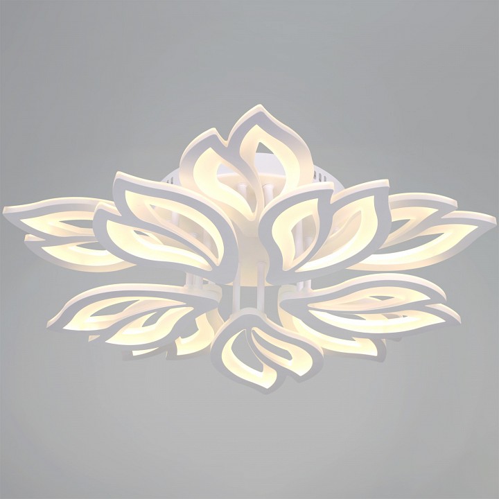 Потолочная люстра De Markt 00150-0.3-5+5 WH