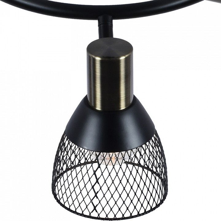 Потолочная люстра  95965-0.8-03 BK+AB