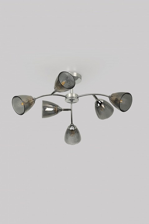 Люстра на штанге Rivoli Francheska Б0068457