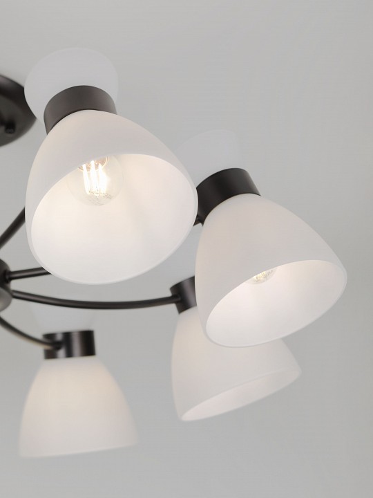 Люстра на штанге Rivoli Aemilia 9185-308