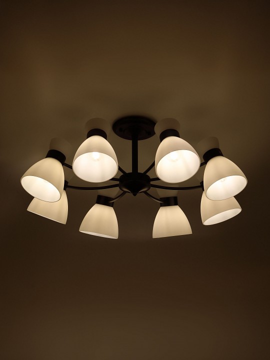 Люстра на штанге Rivoli Aemilia 9185-308