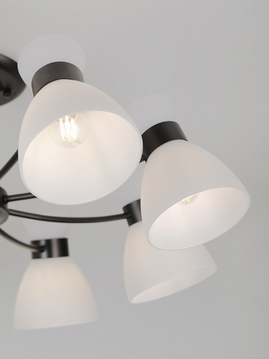 Люстра на штанге Rivoli Aemilia 9185-308