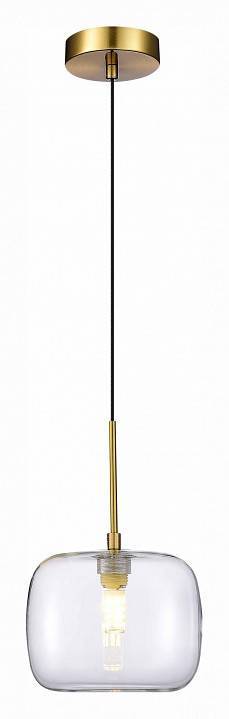 Подвесной светильник ST-Luce Finn 1 лампа SL1049.303.01