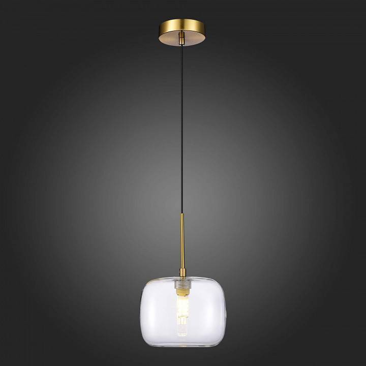 Подвесной светильник ST-Luce Finn 1 лампа SL1049.303.01