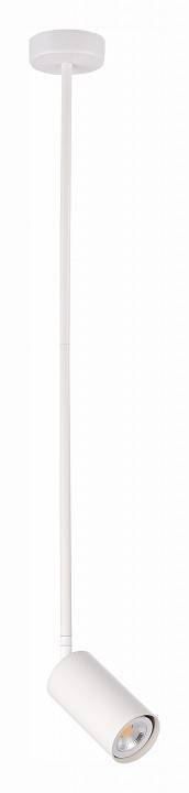 Светильник на штанге ST-Luce Sormano SL1206.503.01