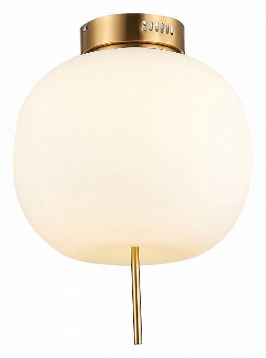 Накладной светильник ST-Luce Lacus SL1621.202.01