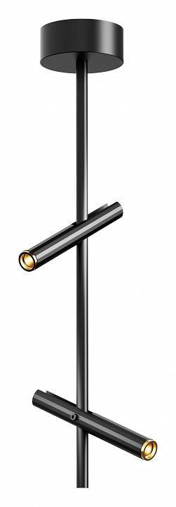 Светильник на штанге ST-Luce LILT SL6210.403.02