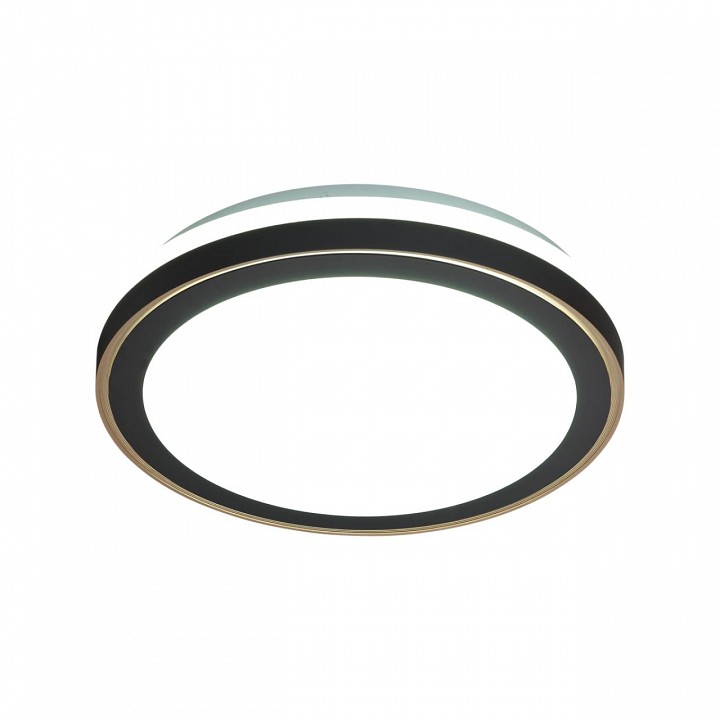 Накладной светильник Sonex PALE 7620/DLN