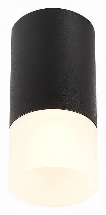 Накладной светильник ST-Luce ST100 ST100.412.01