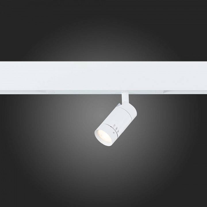 Светильник трековый ST-Luce SKYLINE 220 ST658.596.07