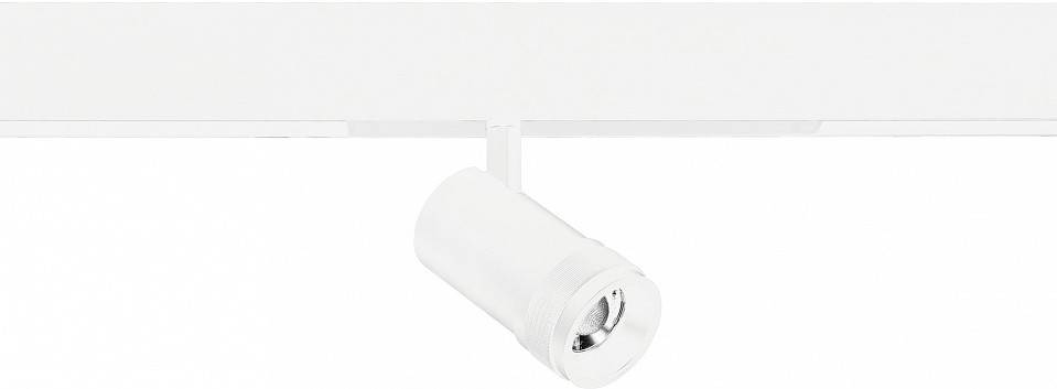 Светильник трековый ST-Luce SKYLINE 220 ST658.596.10