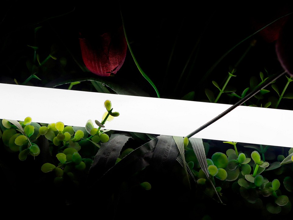 Шнур световой SWG PRO  00-00013284