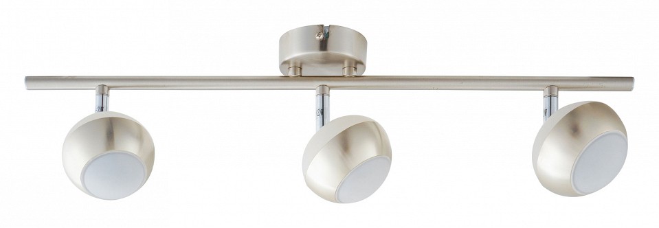 Спот TopLight Doreen TL1241Y-03SN