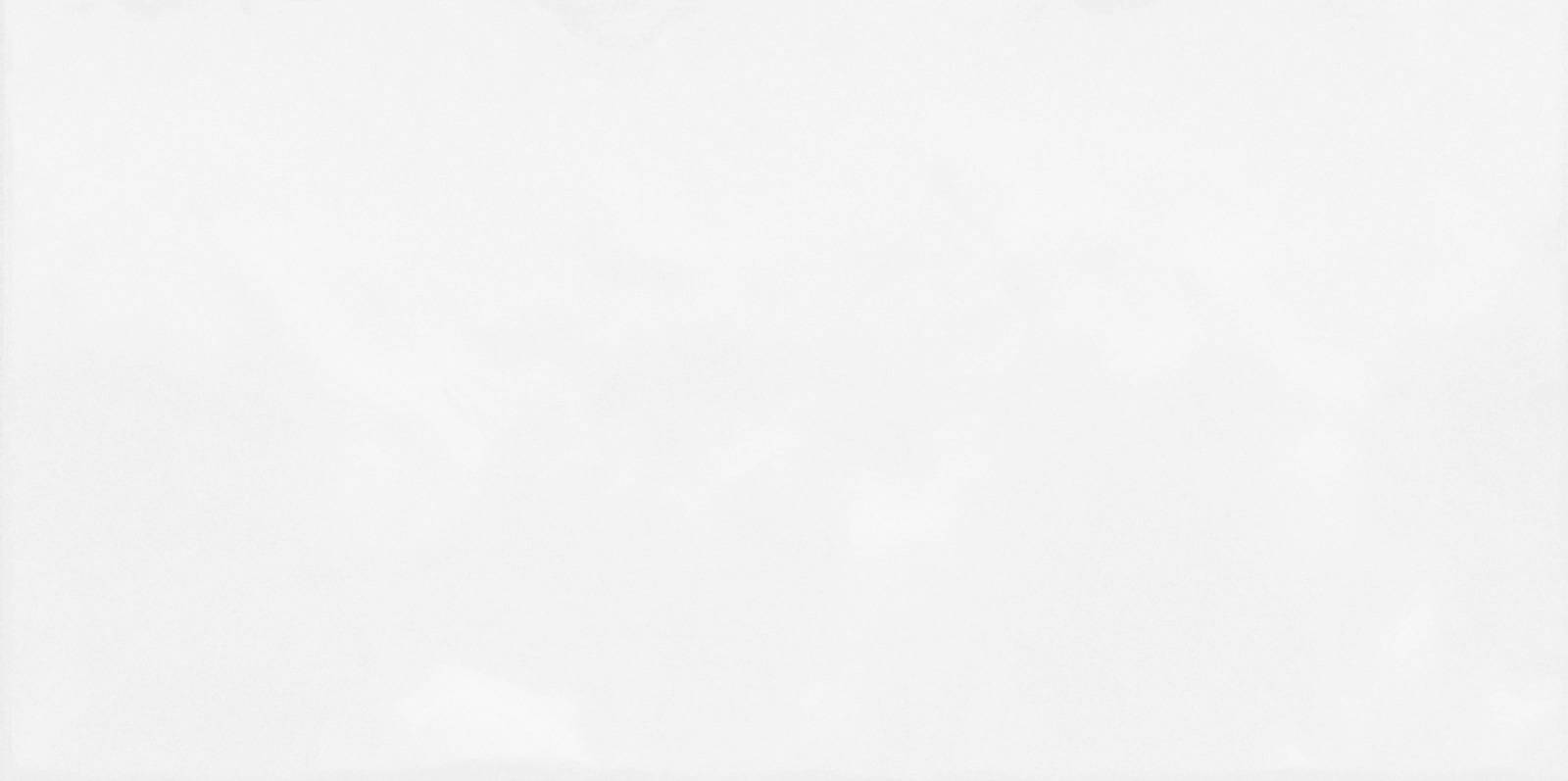 Плитка настенная Alma Ceramica Monocolor рельефная 249х500х8.5 мм TWU09MNR030