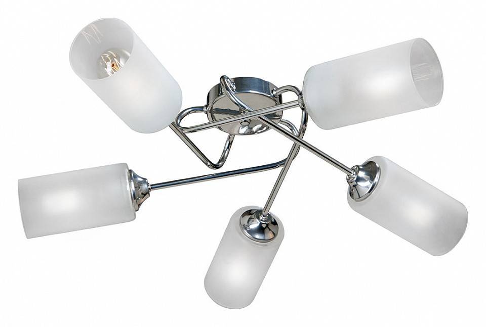 Потолочная люстра Vitaluce 5 ламп E27 V4909-9/5PL