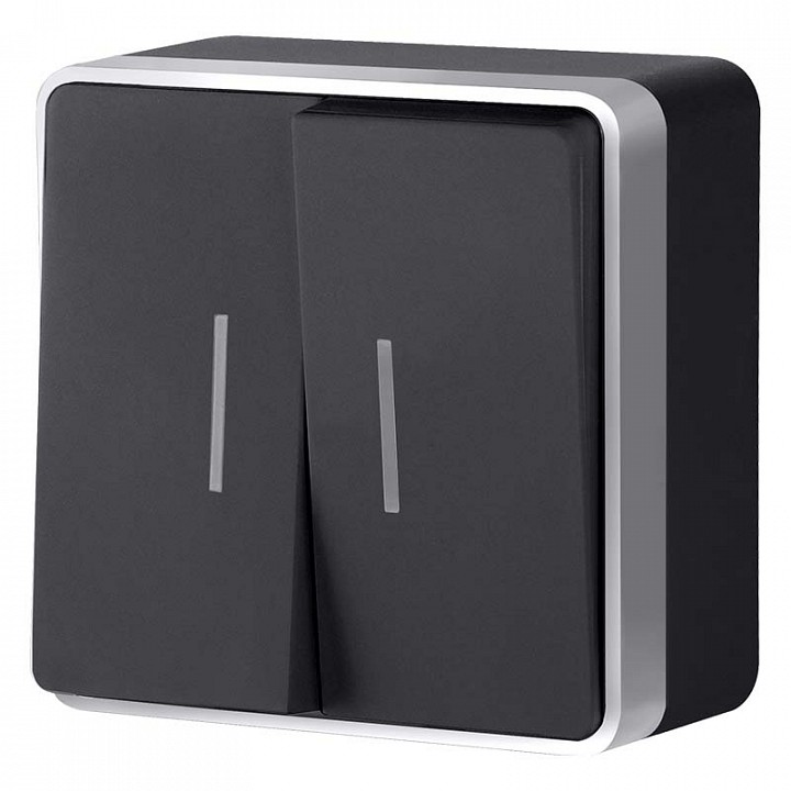 Выключатель двухклавишный с подсветкой Werkel Gallant (черный с серебром) W5020134