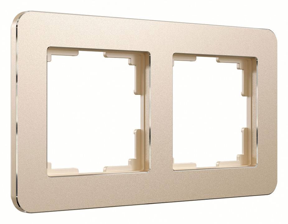 Рамка на 2 поста Werkel Platinum шампань W0022611
