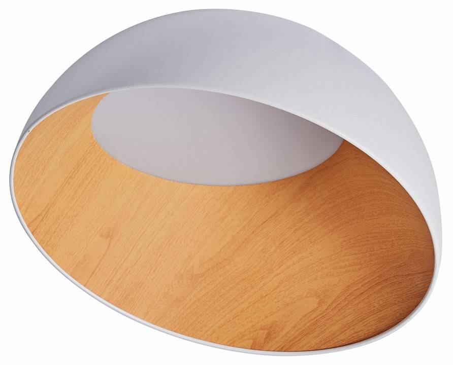 Светильник накладной Zortes Baum ZRS.01201.20