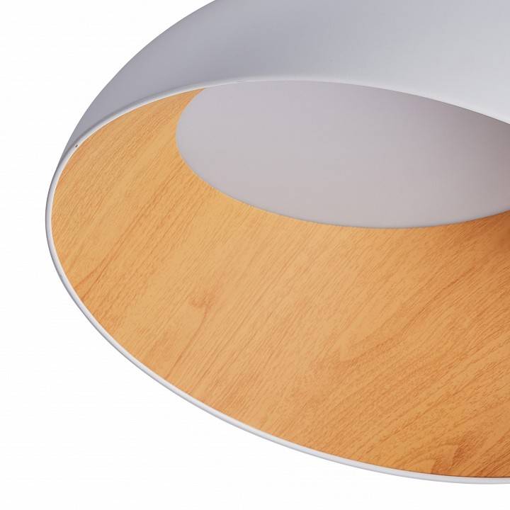 Светильник накладной Zortes Baum ZRS.01201.20