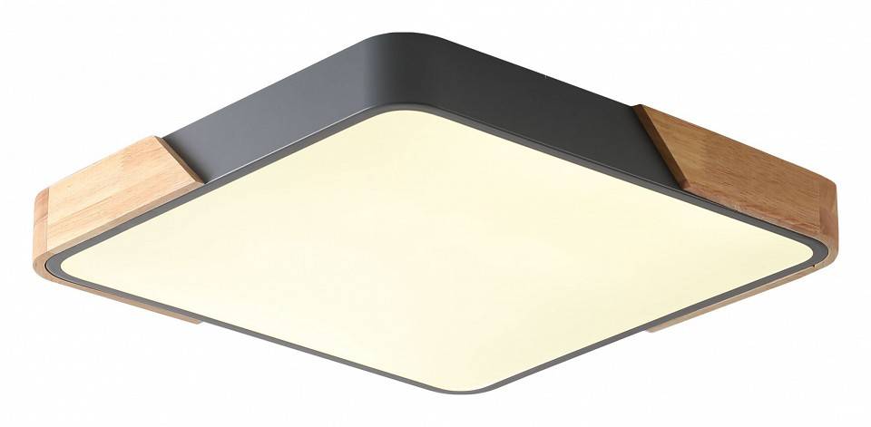 Накладной светильник Zortes ALBERRO ZRS.01288.24