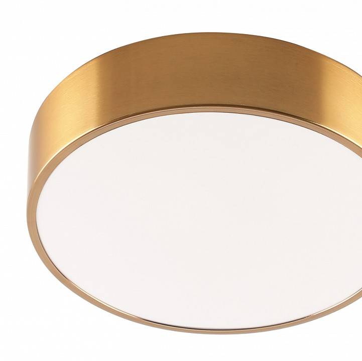 Светильник накладной Zortes Tortty ZRS.02566.36