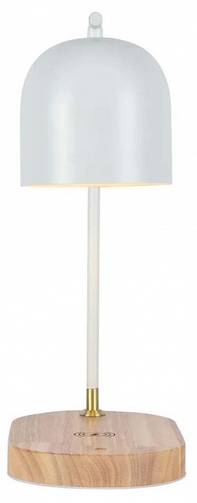 Настольная лампа офисная Zortes DESKLIGHT ZRS.1066.02