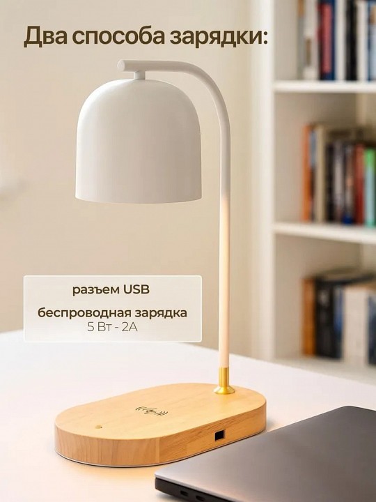 Настольная лампа офисная Zortes DESKLIGHT ZRS.1066.02
