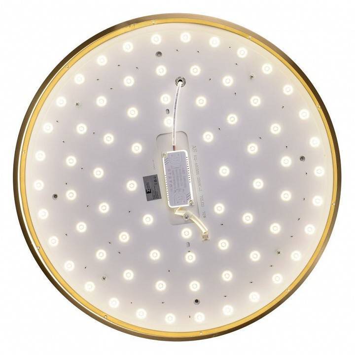 Накладной светильник Zortes Monna ZRS.1209.12