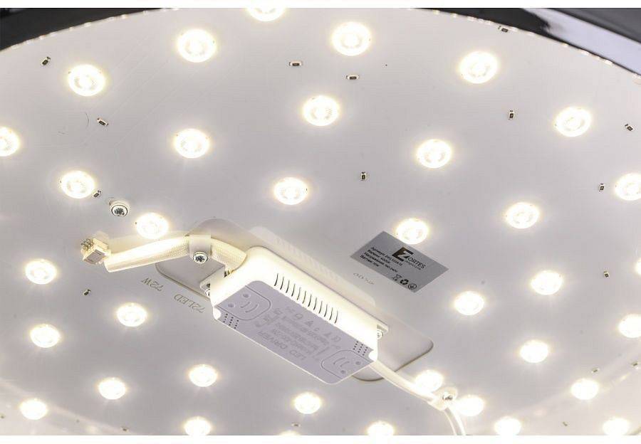 Накладной светильник Zortes Monna ZRS.1209.12