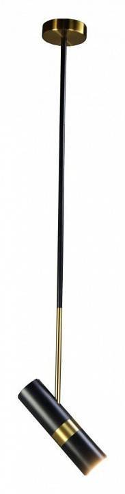 Светильник на штанге Zortes Tweeny ZRS.1828.30