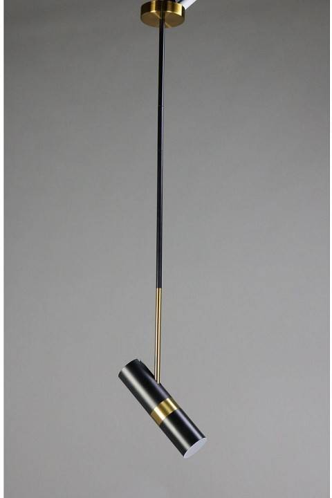 Светильник на штанге Zortes Tweeny ZRS.1828.30