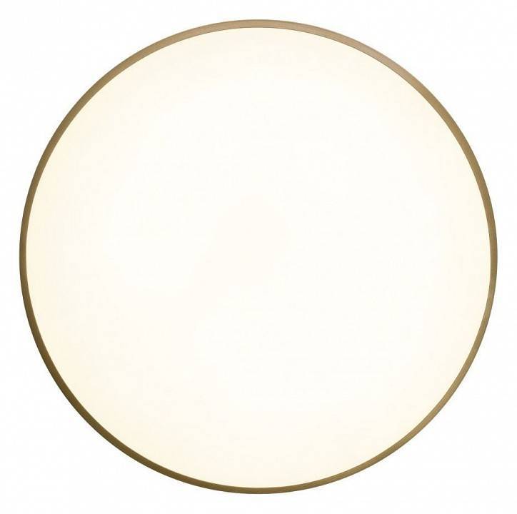 Накладной светильник Zortes Gabby ZRS.90610.50