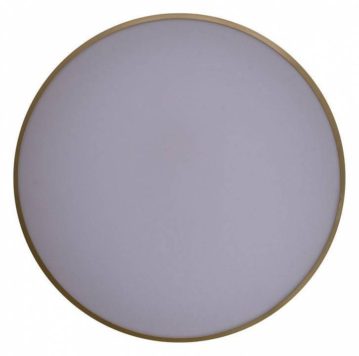 Накладной светильник Zortes Gabby ZRS.90610.50