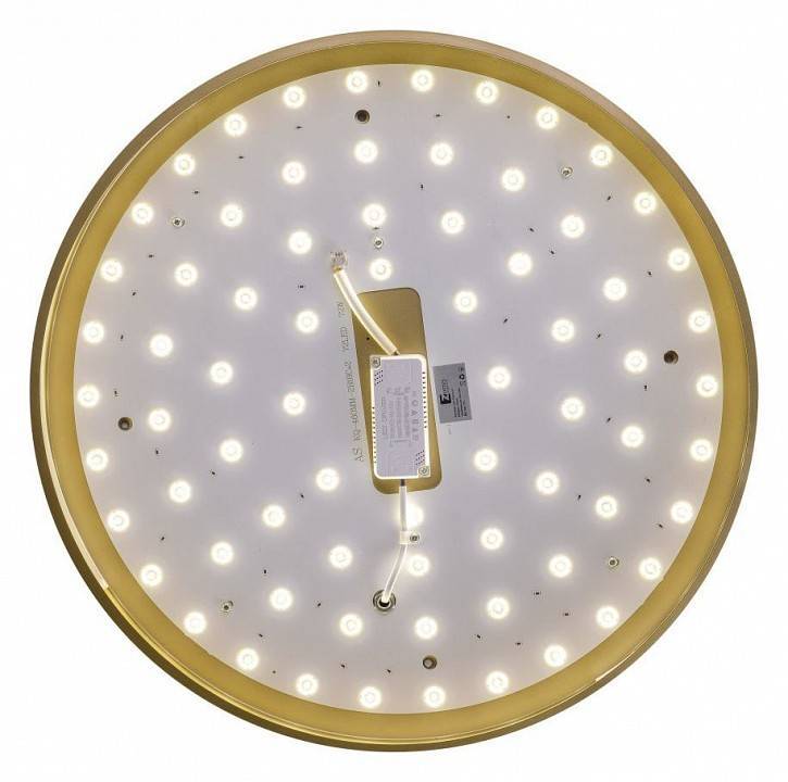 Накладной светильник Zortes Gabby ZRS.90610.50