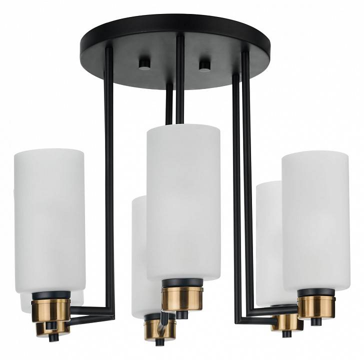 Потолочная люстра 33 идеи CHN900 CHN900.06.BL17.ASB-S16WH