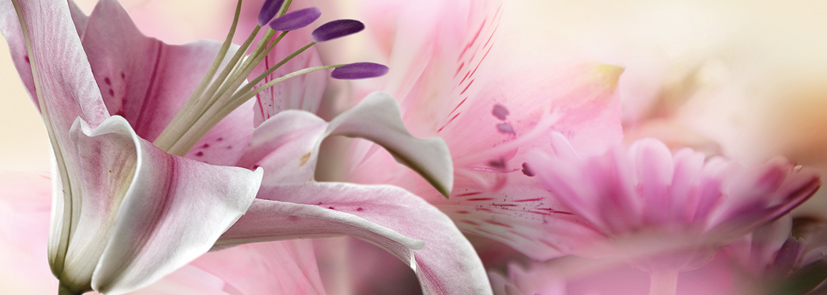 Декор Keros Calido Dance C 25х70 см х9999028462