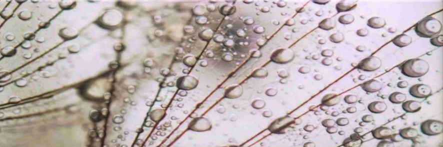 Декор Ceramica Konskie Luna bis A 25x75 см х9999041284