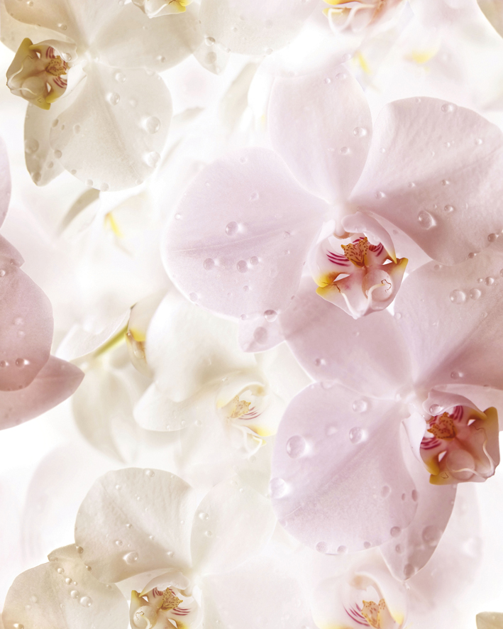 Панно Cerrol Porto Flowers Flower 750х600 мм (3 плитки) х9999044205