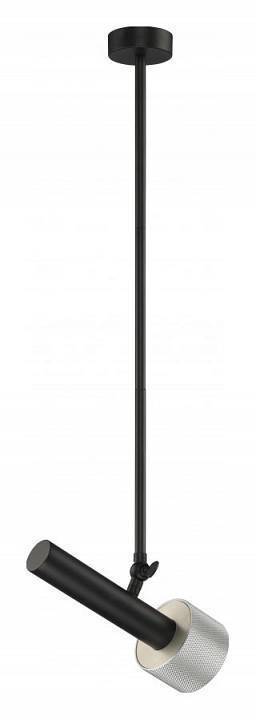 Светильник на штанге iLedex Technical Delta 2361-1 BK+SL
