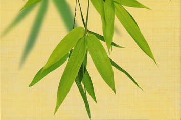 Декор Belarti OLL 3 20х30 см х9999033889