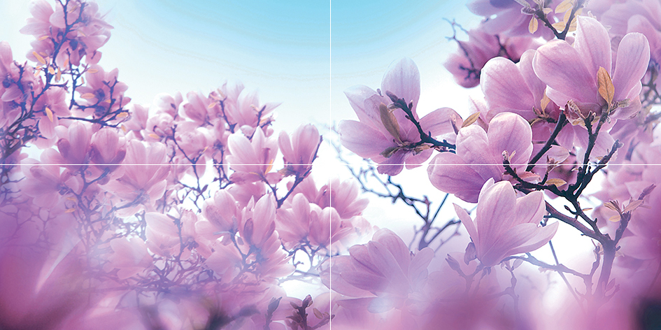 Панно Ceramica Classic Magnolia 80х40 см (из 4 плиток) P4D297