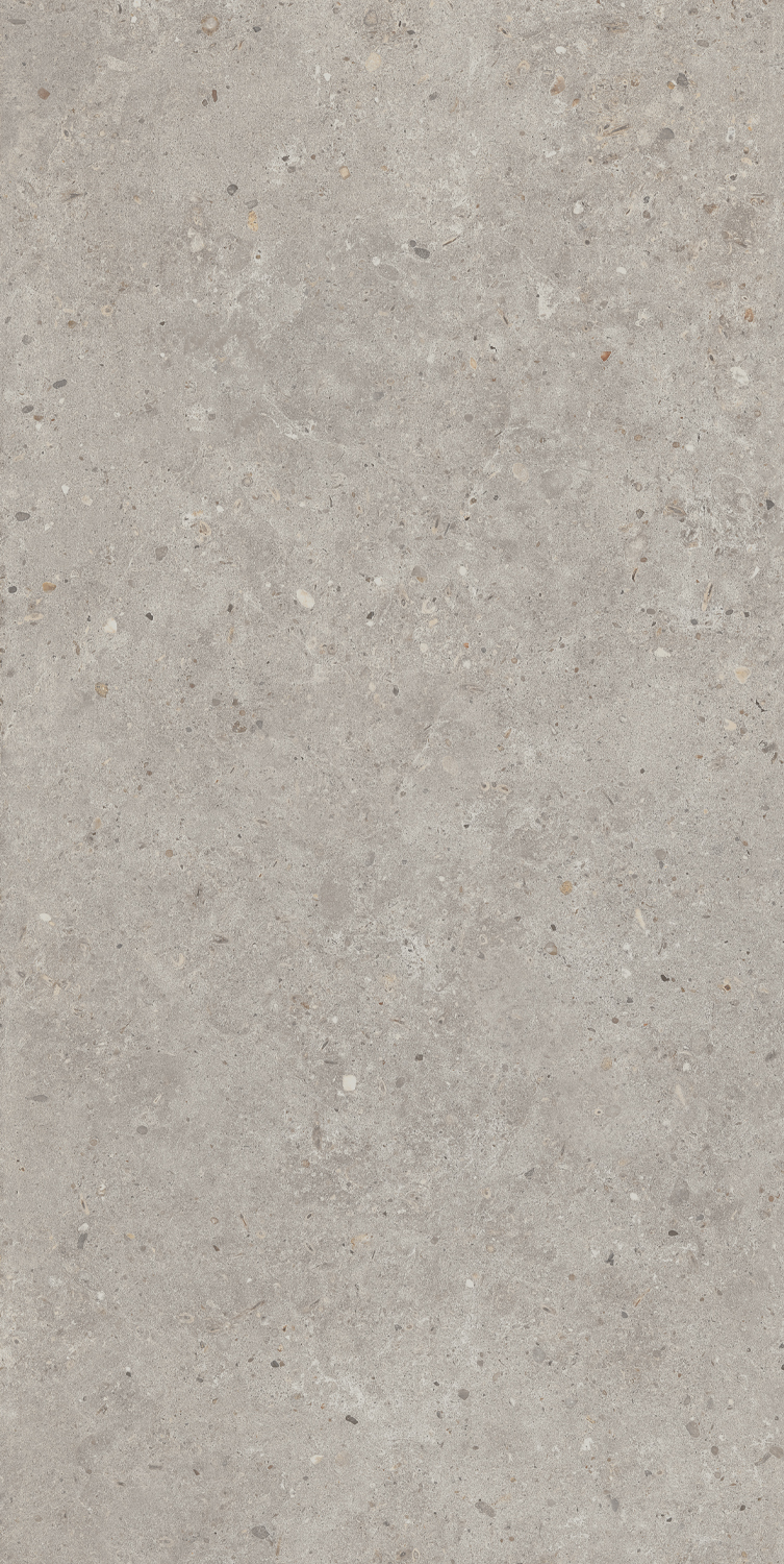 Керамогранит Kerama Marazzi Риккарди серый светлый матовый обрезной 60x119.5 см SG519920R